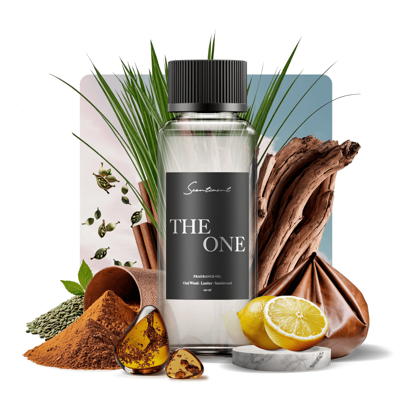 "The One" Rainforest Retreat Home Fragrance Oil